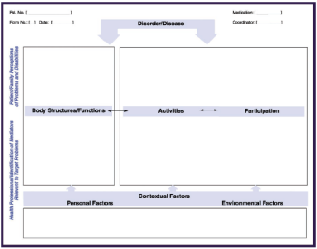 RehabNET RPS-Form, Originalversion